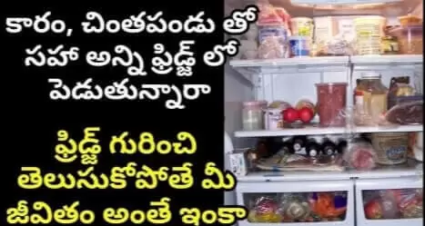 Refrigerator Side Effects In Telugu | ఫ్రిడ్జ్ గురించి తెలుసుకోకపోతే చాలా నష్టపోతారు