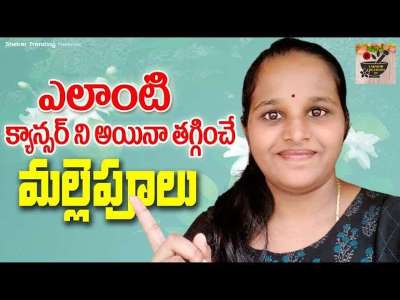 Jasmine Health Benefits in Telugu | Uses of Jasmine in Telugu