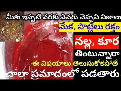 Goat Blood Health Benefits in Telugu | Nalla Uses in Telugu