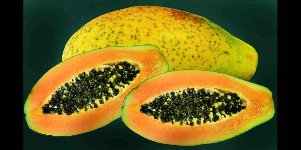 Health benefits of papaya in Telugu