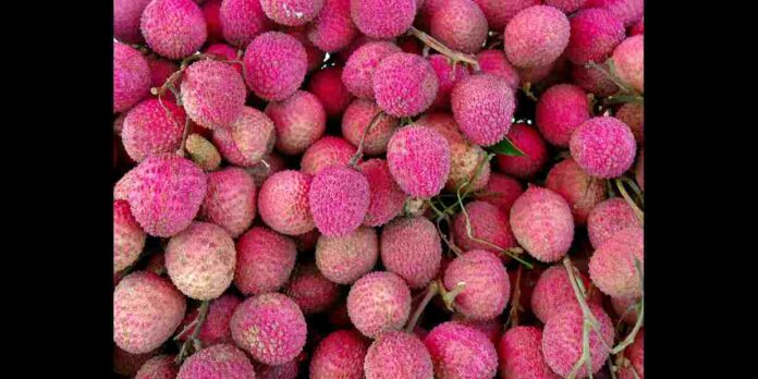 Litchi health benefits in telugu