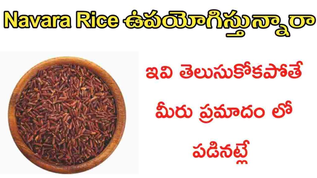 navara rice