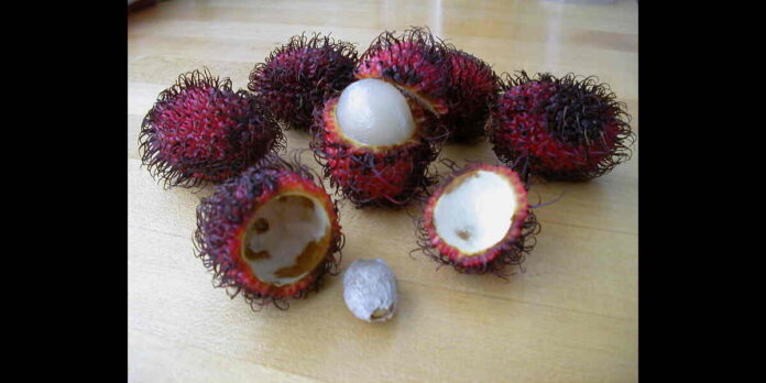 Rambutan Health Benefits in Telugu