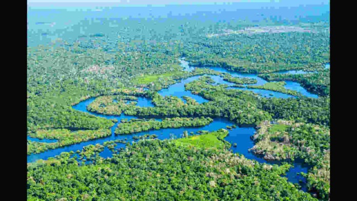 History of Amazon Forest