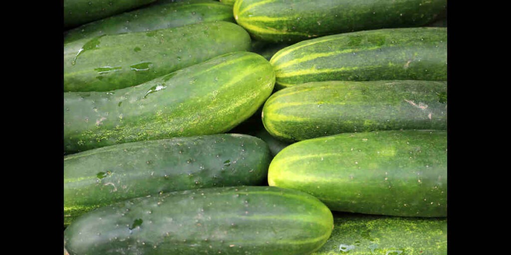 Health Benefits of Cucumber in Telugu