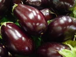Eggplant Health Benefits in Telugu