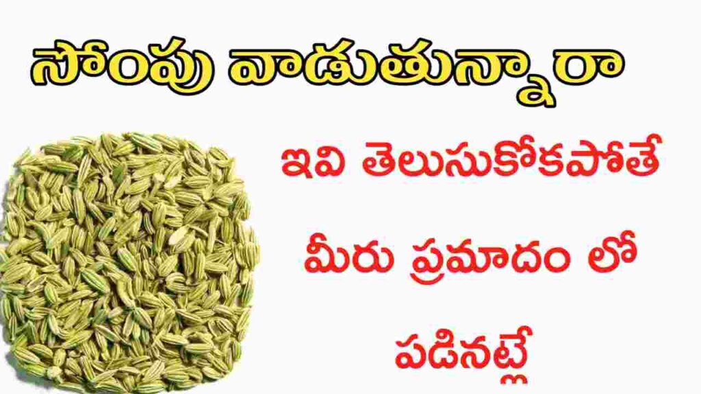 fennel seeds uses