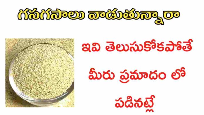 Gasagasalu uses in Telugu