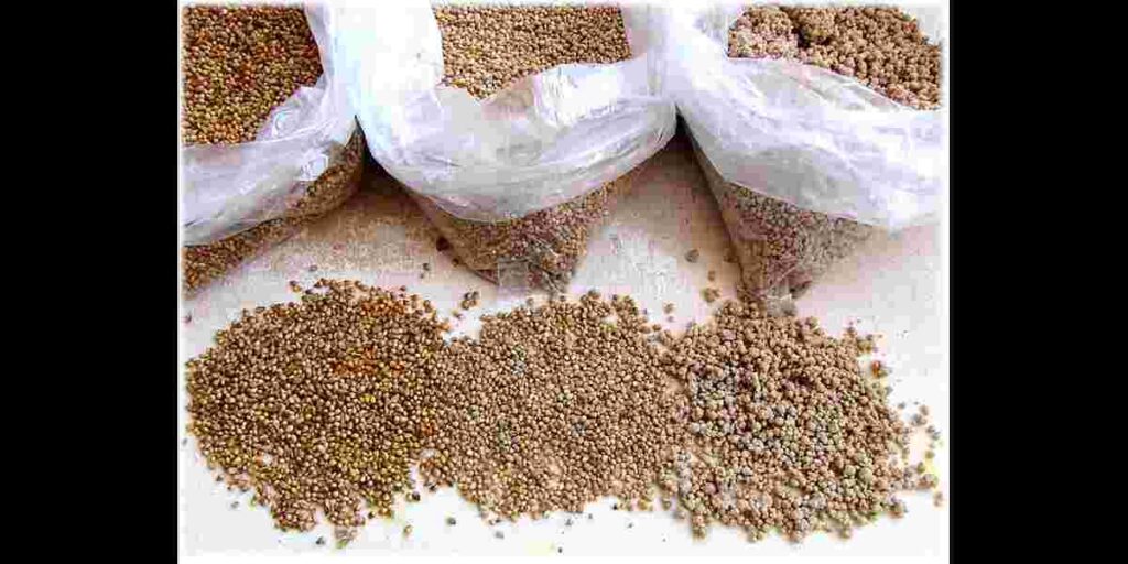 Millet Health Benefits in Telugu