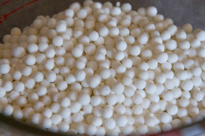 Sabudana Health Benefits in Telugu