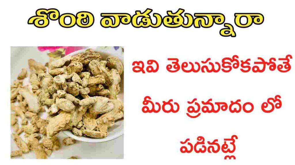 sonti uses in telugu