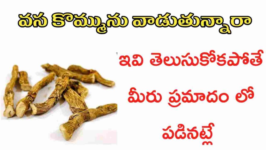 vasa kommu uses in telugu