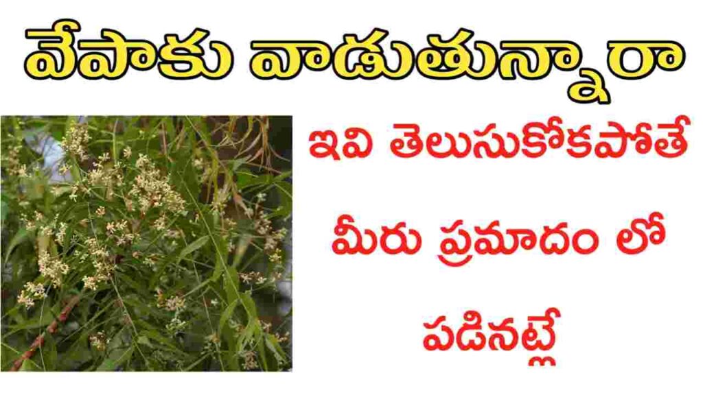 vepaku uses in telugu