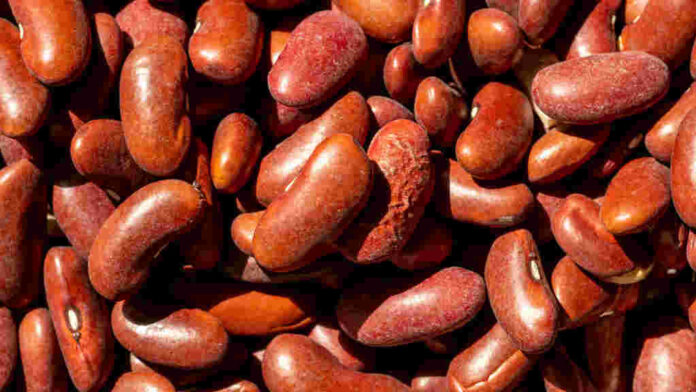 Kidney Beans Benefits in Telugu