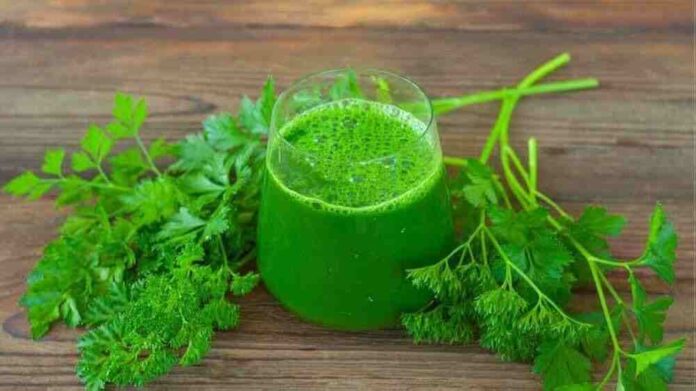 Kothimeera Juice Benefits in Telugu