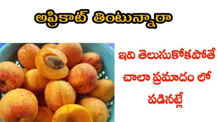 apricot health benefits in telugu