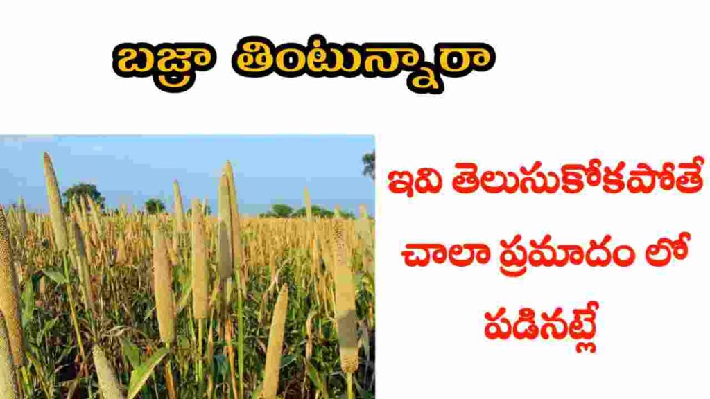 bajra health benefits in telugu