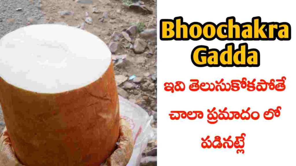 bhoochakra Gadda in Telugu benefits