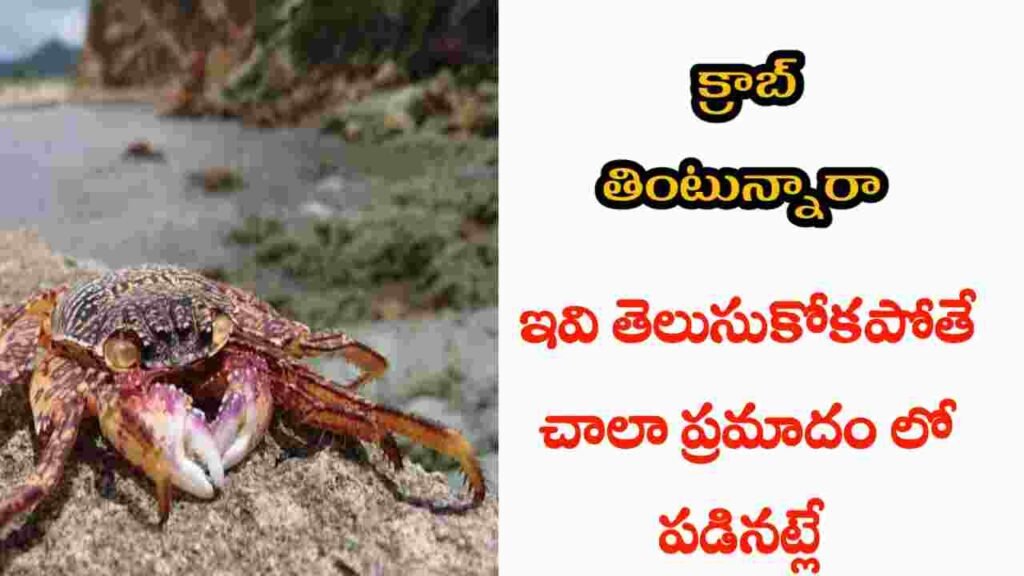 crab health benefits in telugu