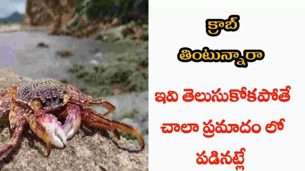 crab health benefits in telugu