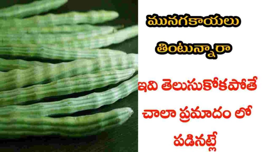 drumstick health benefits in telugu