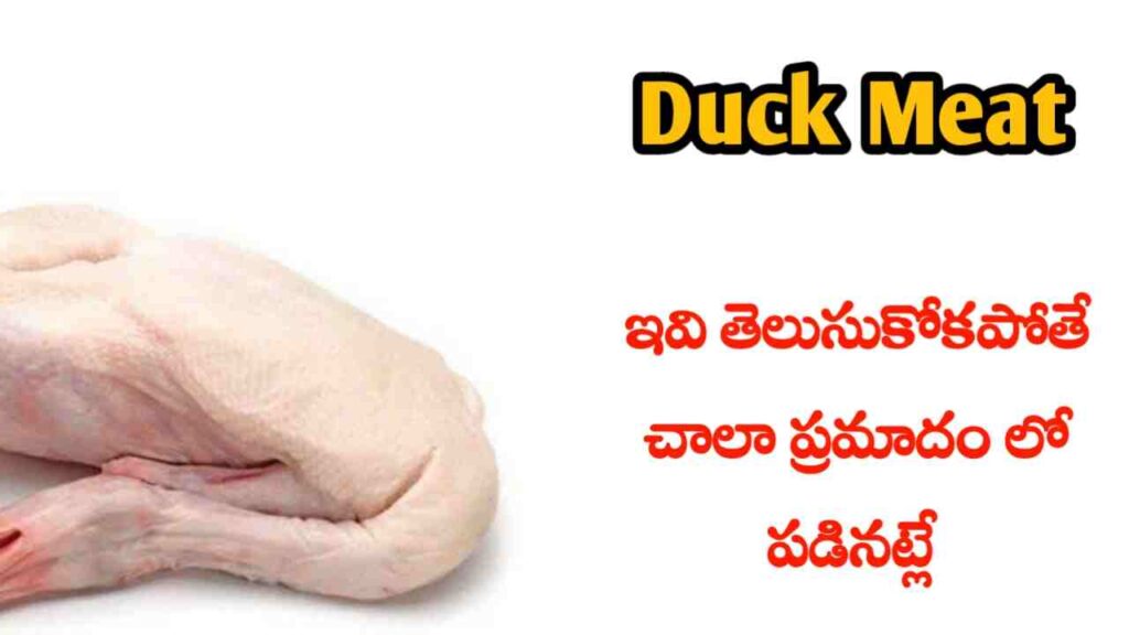 duck Meat food benefits in Telugu