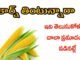 Best 10+ Health Benefits of Corn in Telugu health benefits of corn in telugu