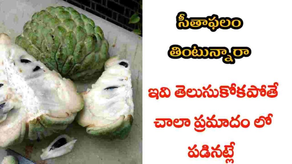 health benefits of custard apple in telugu