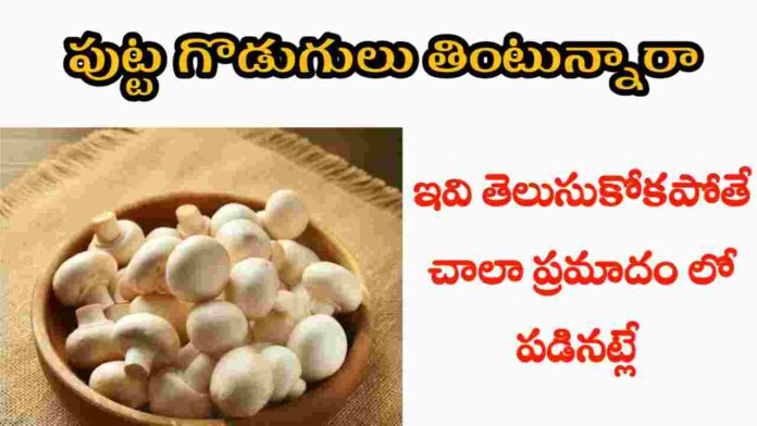 health benefits of mushrooms in telugu