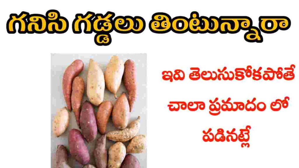 health benefits of sweet potatoes in telugu