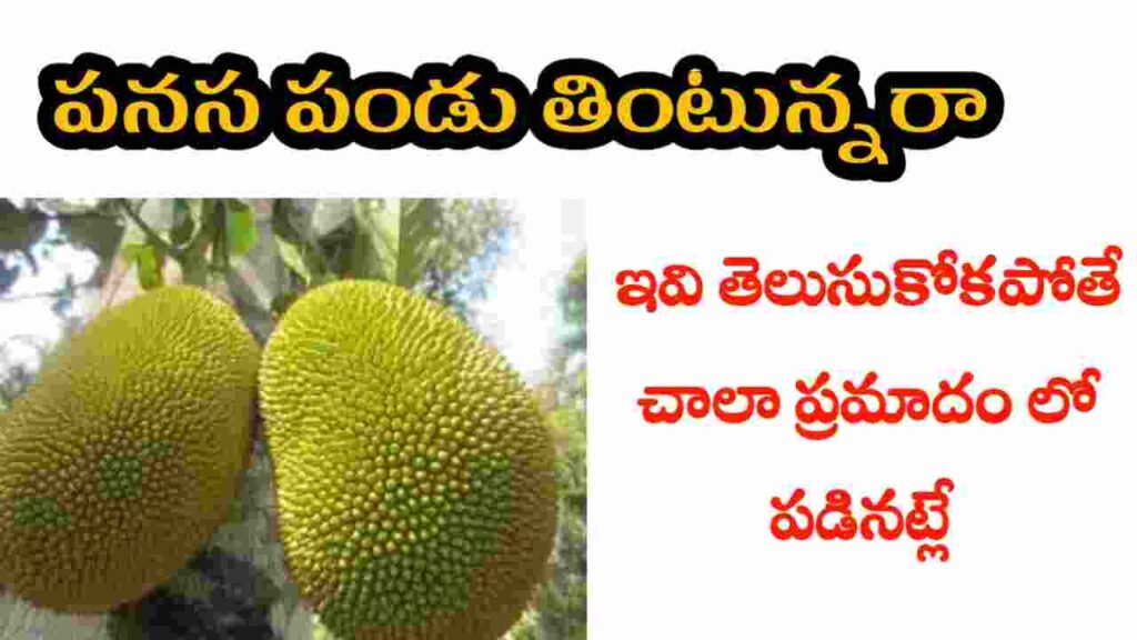 jackfruit health benefits in telugu