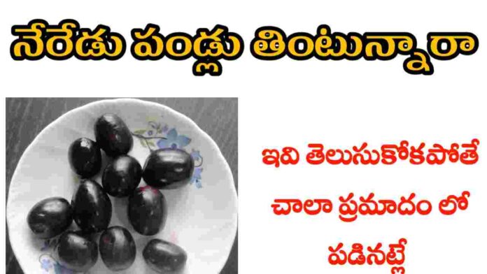 java plum health benefits in telugu