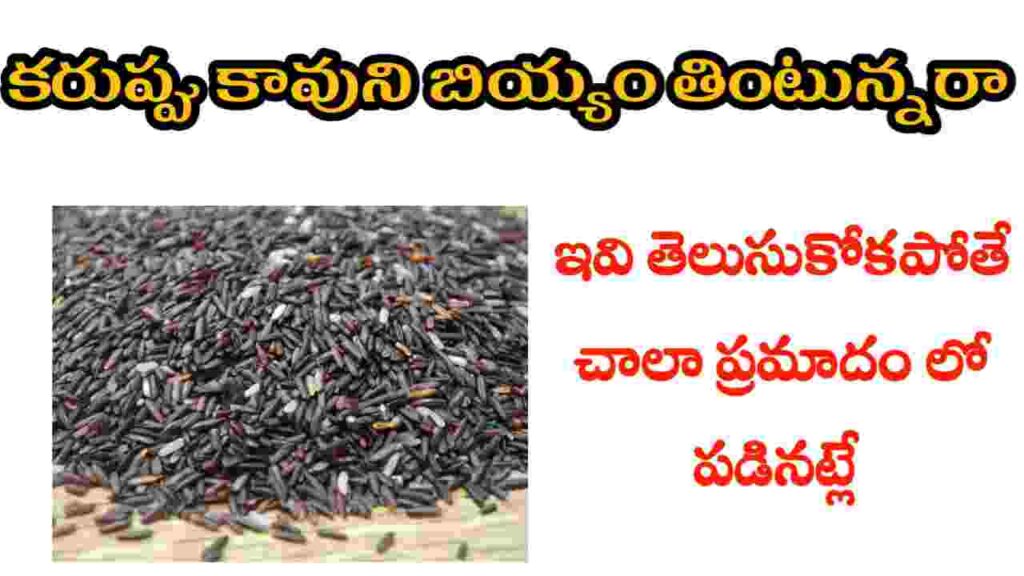 karuppu kavuni rice health benefits in telugu