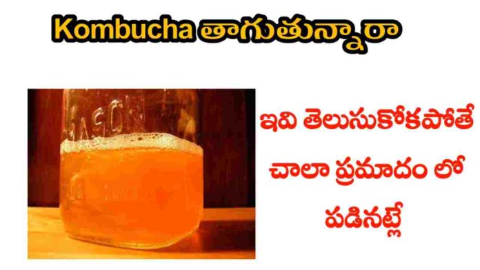 kombucha health benefits in telugu