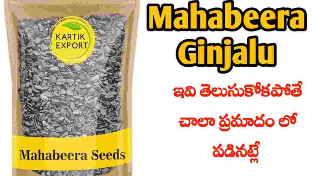 mahabeera Ginjalu benefits in Telugu