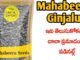 Best 10+ Mahabeera Ginjalu Benefits in telugu mahabeera Ginjalu benefits in Telugu