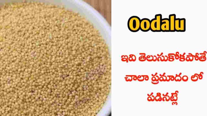 oodalu health benefits in Telugu