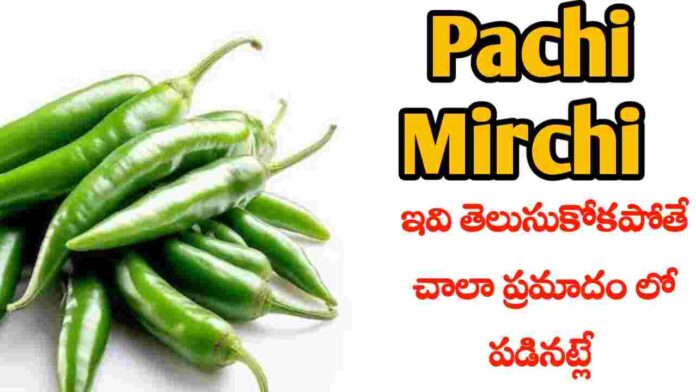 pachi Mirchi health benefits in Telugu