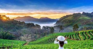 Best Essay on Nature in Telugu 2025 Essay on Nature in Telugu